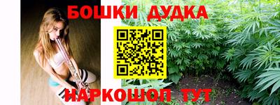 мдпв Гусев