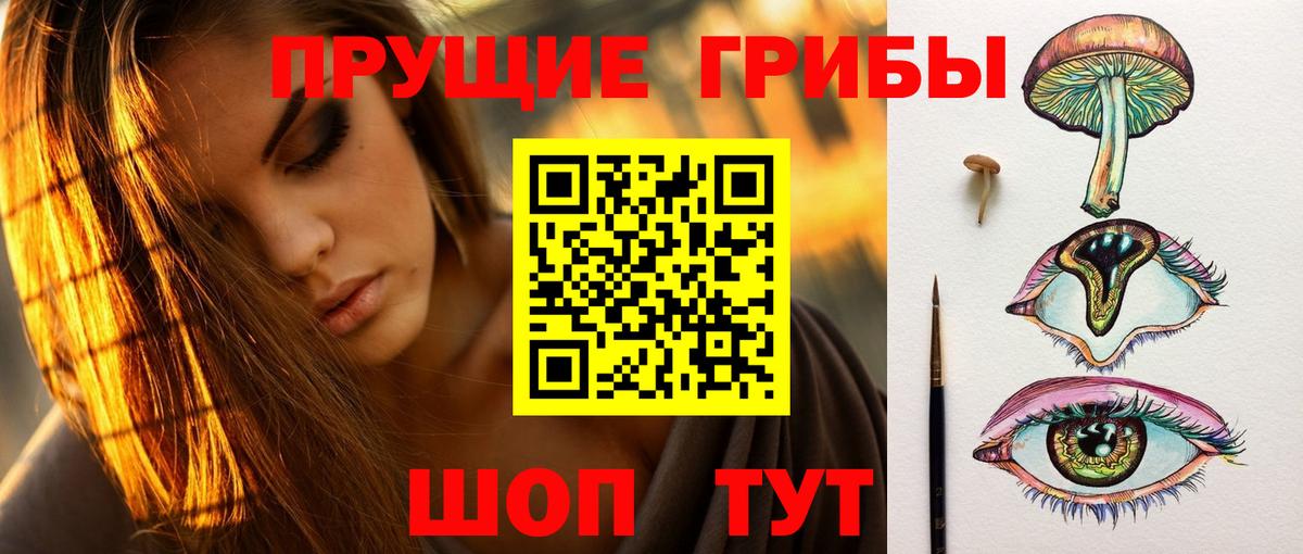 Галлюциногенные грибы прущие грибы Арсеньев
