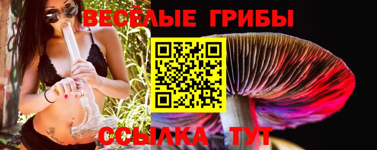 Галлюциногенные грибы Magic Shrooms  Вход с VPN  Псилоцибиновые грибы Psilocybine cubensis  Арсеньев 