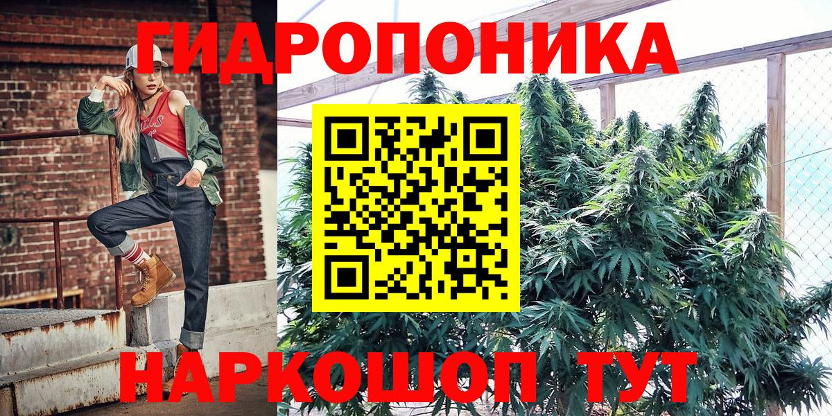 Конопля VHQ  Канабис план  Арсеньев  Конопля Bruce Banner  Вход с VPN  Бошки Шишки OG Kush 